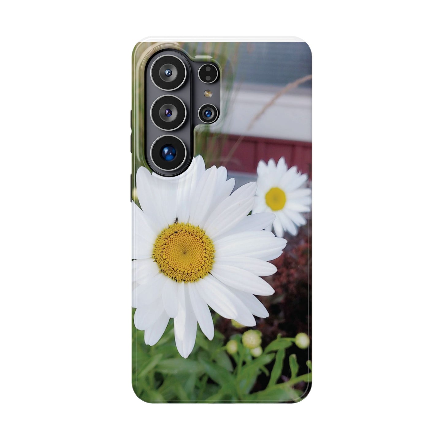 Magnetic Impact-Resistant Case- Daisy