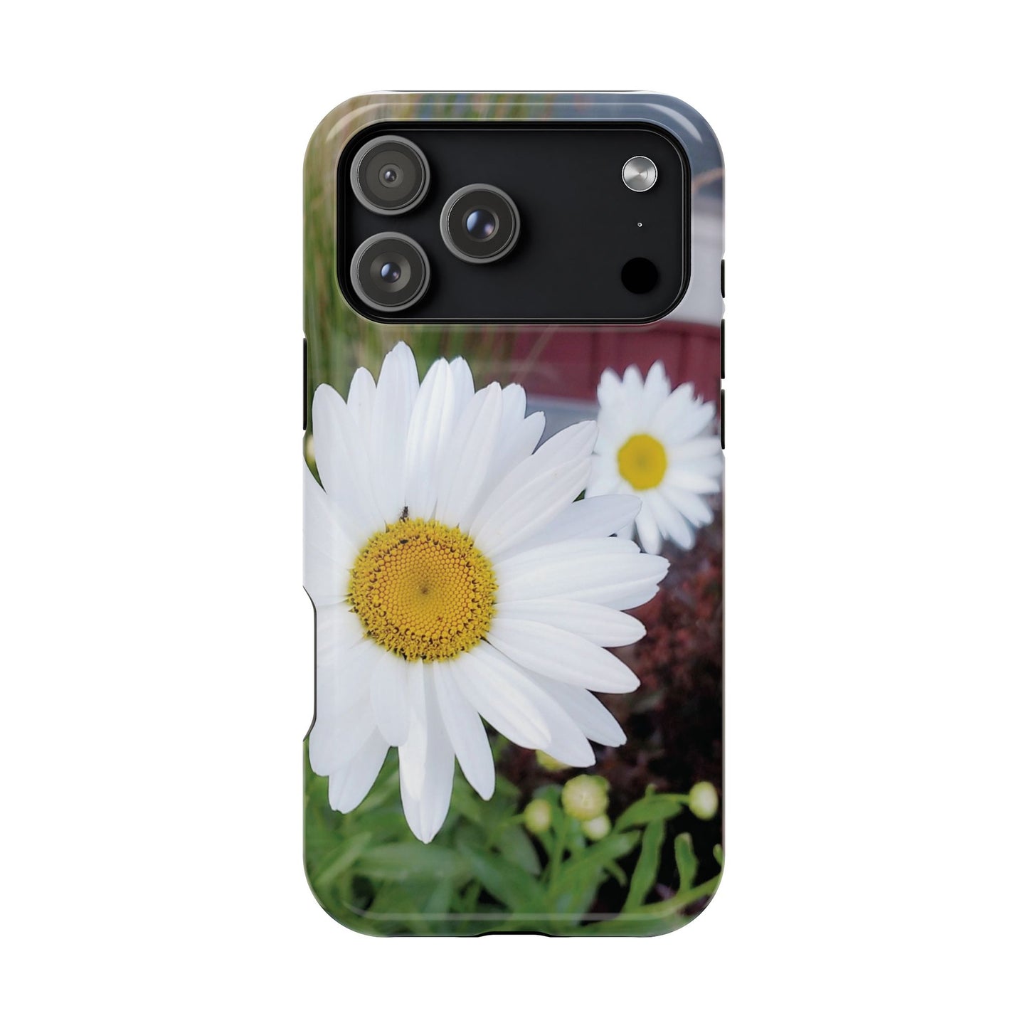 Magnetic Impact-Resistant Case- Daisy