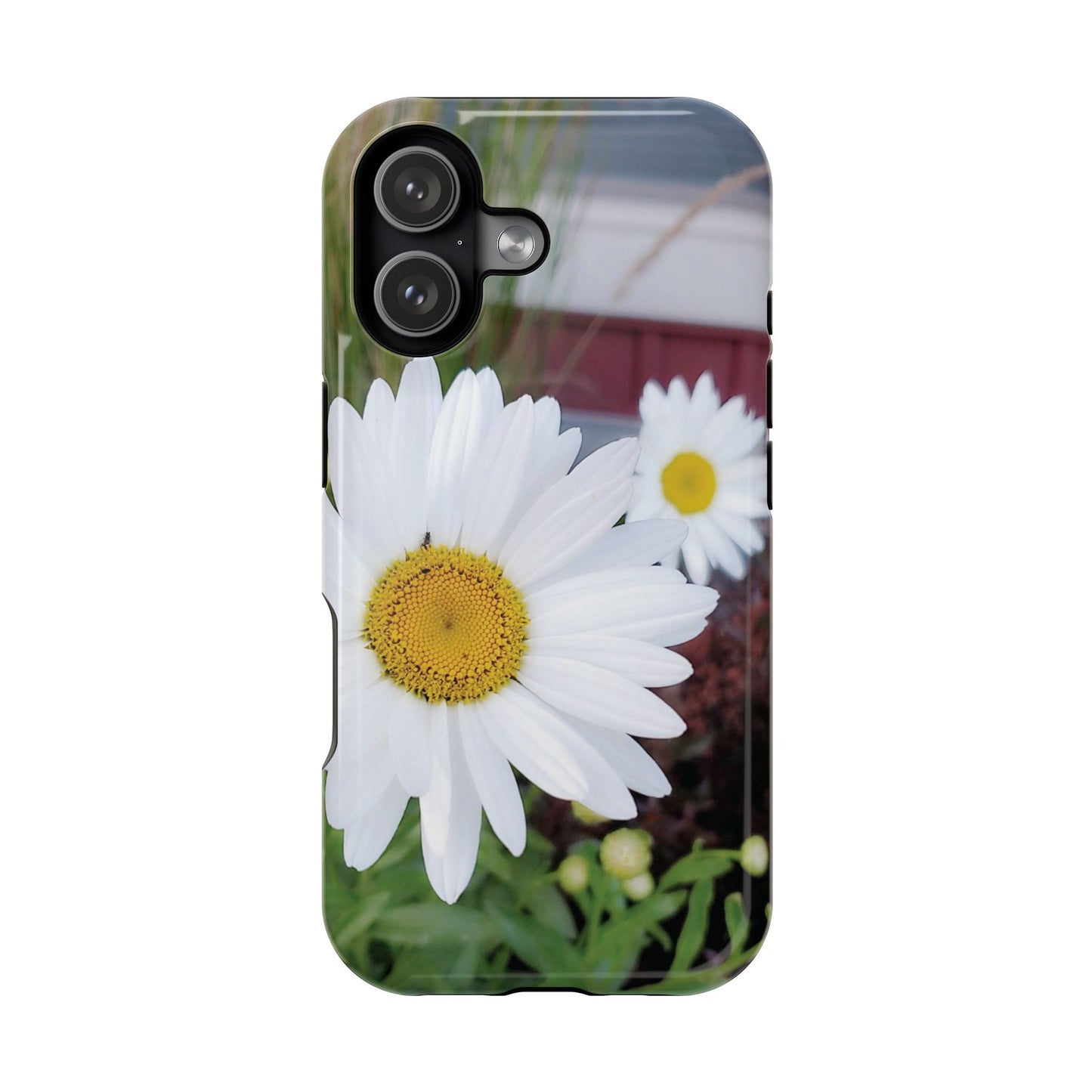 Magnetic Impact-Resistant Case- Daisy