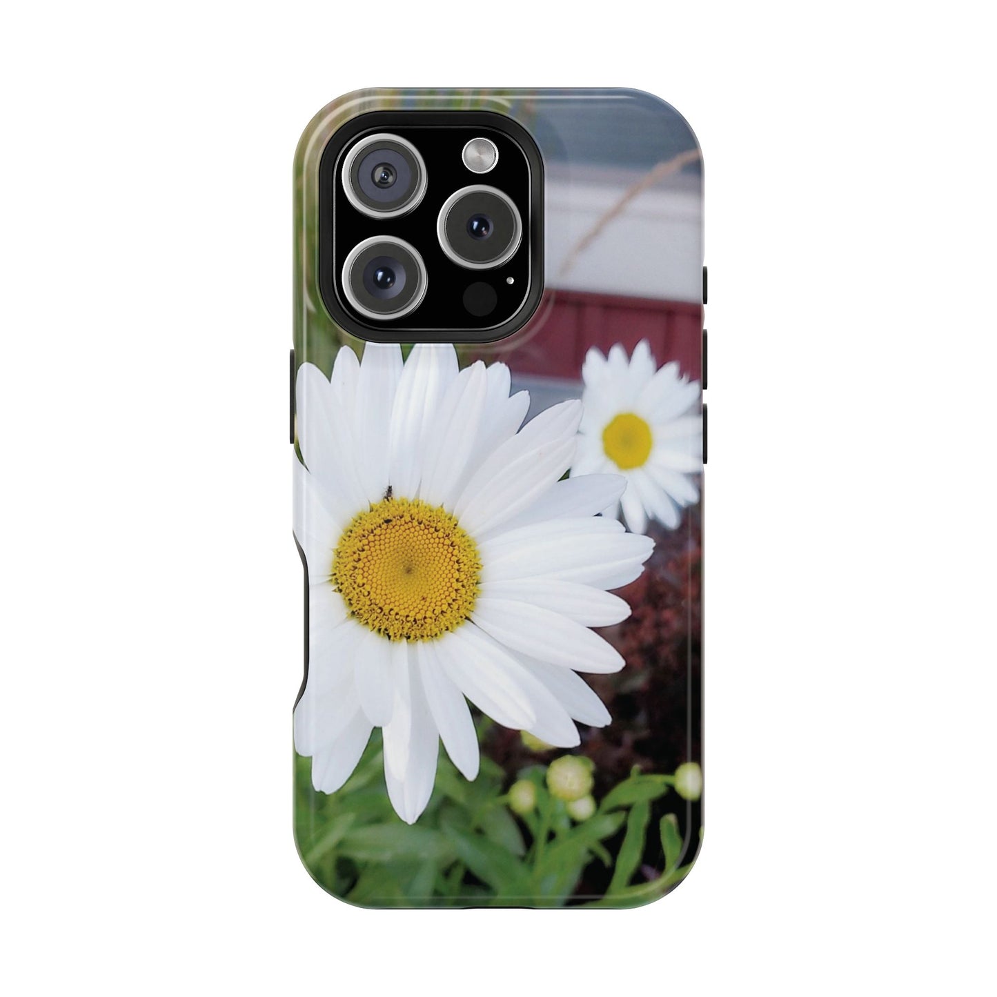 Magnetic Impact-Resistant Case- Daisy