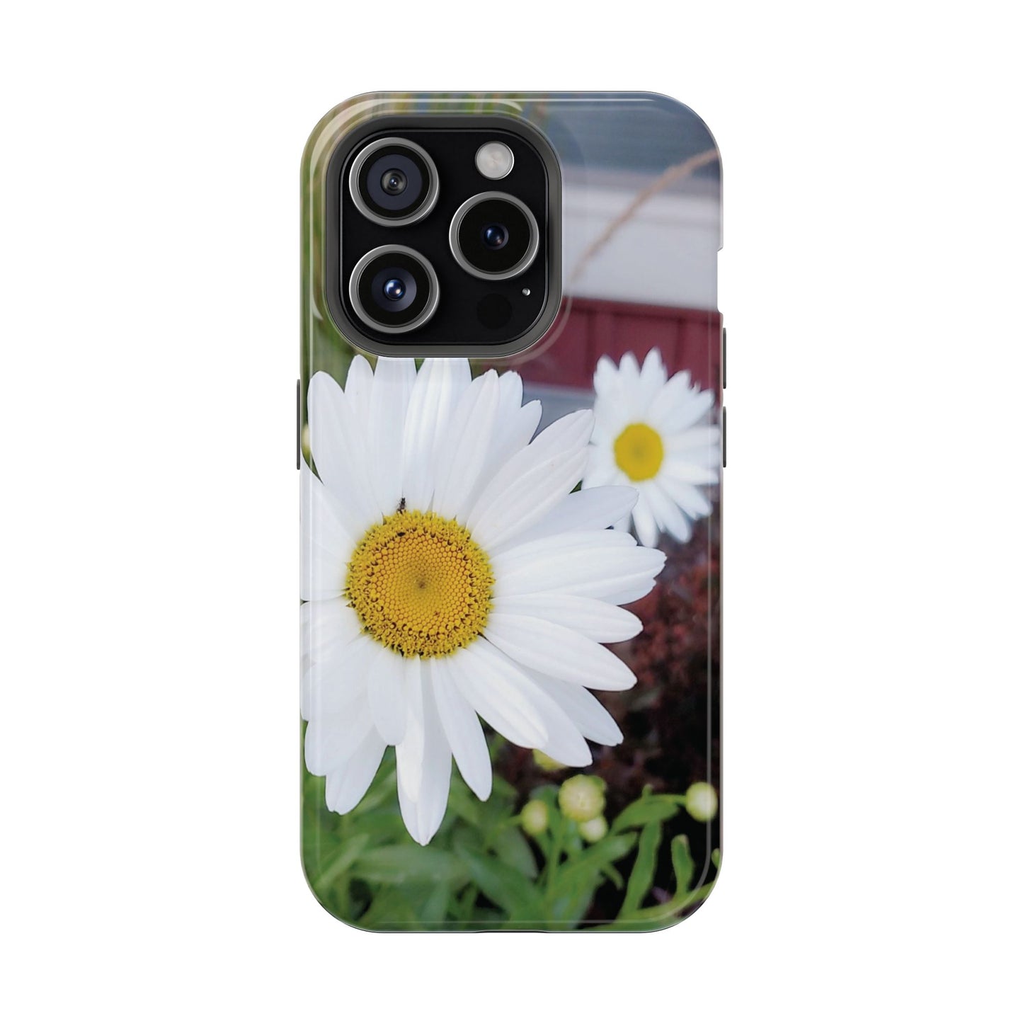 Magnetic Impact-Resistant Case- Daisy