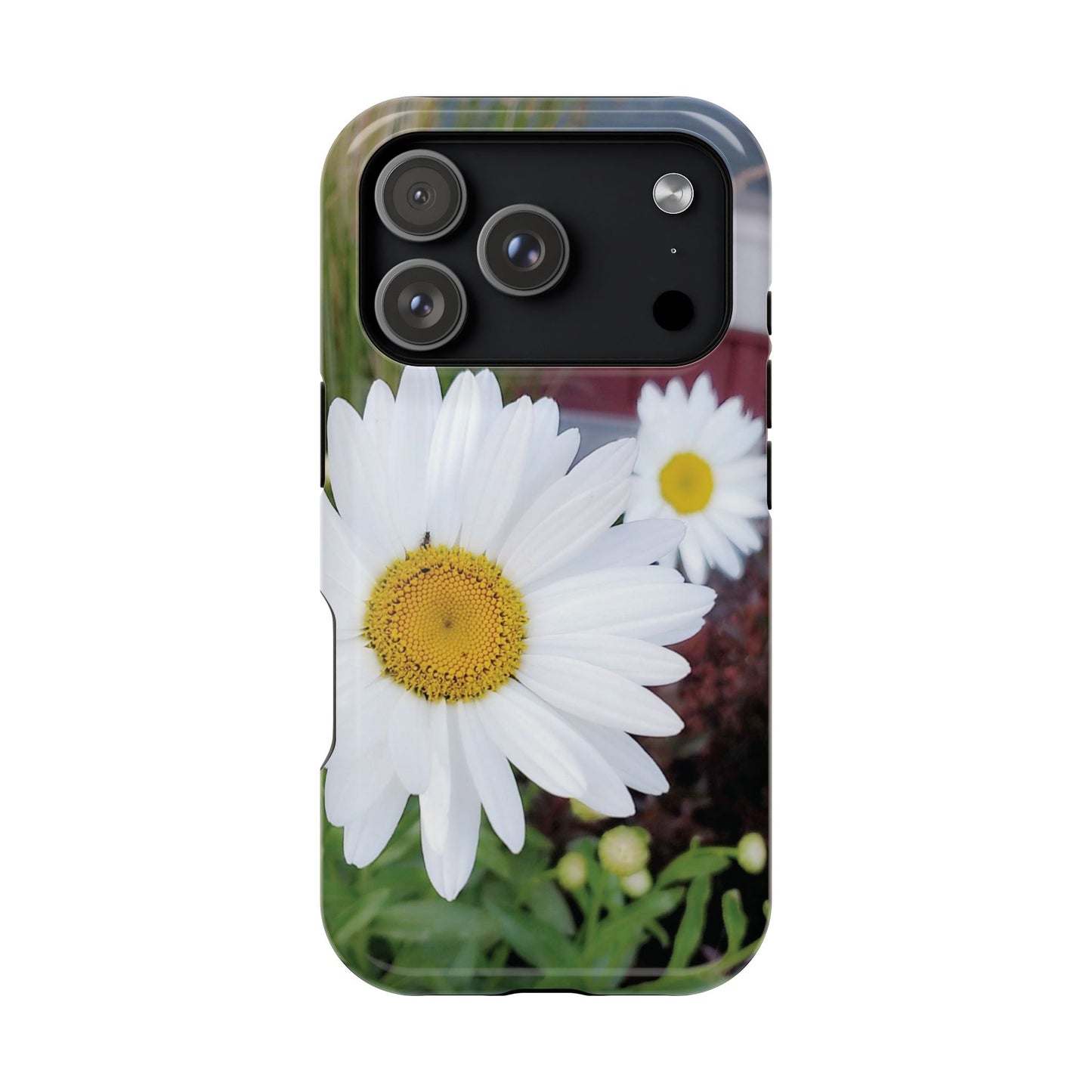 Magnetic Impact-Resistant Case- Daisy