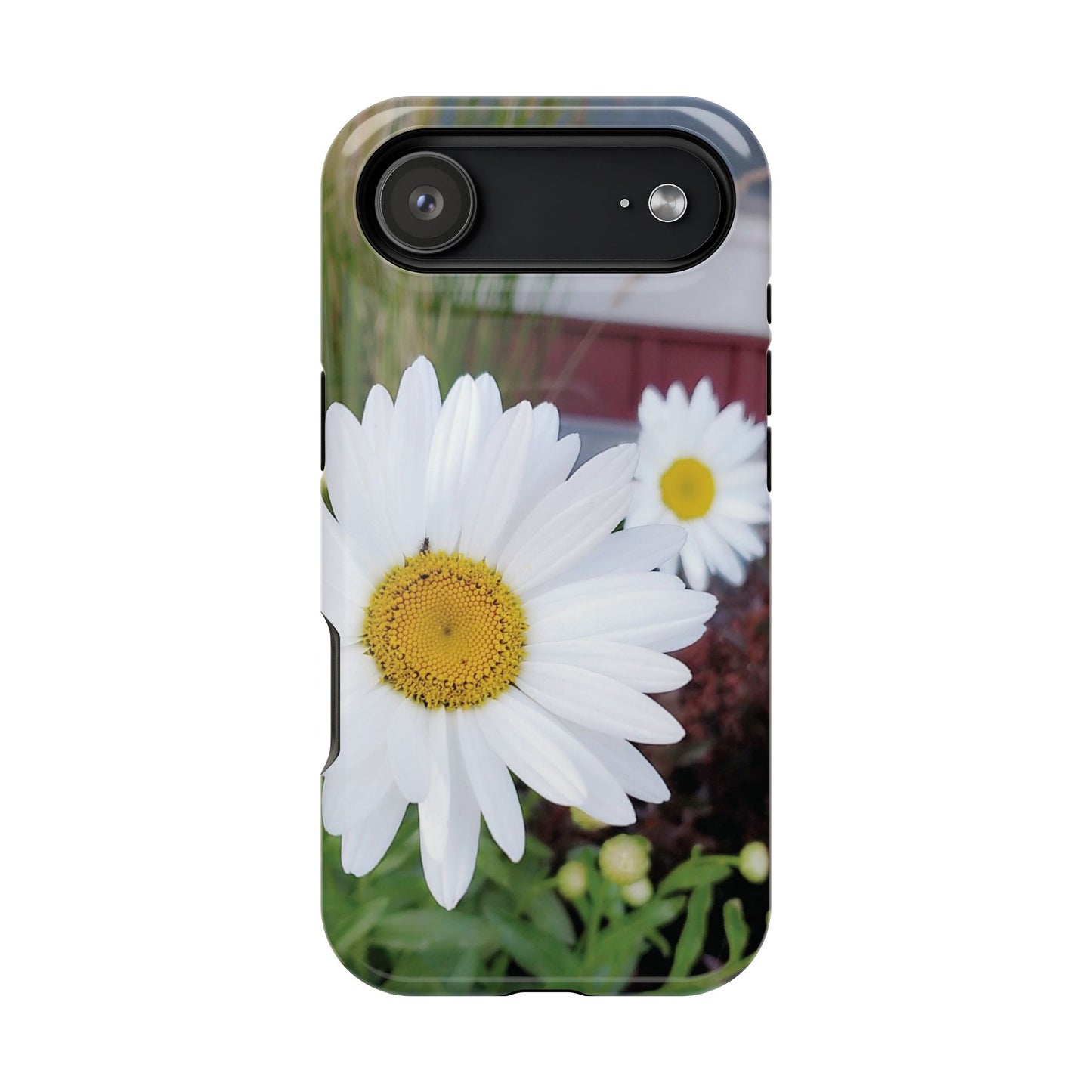 Magnetic Impact-Resistant Case- Daisy