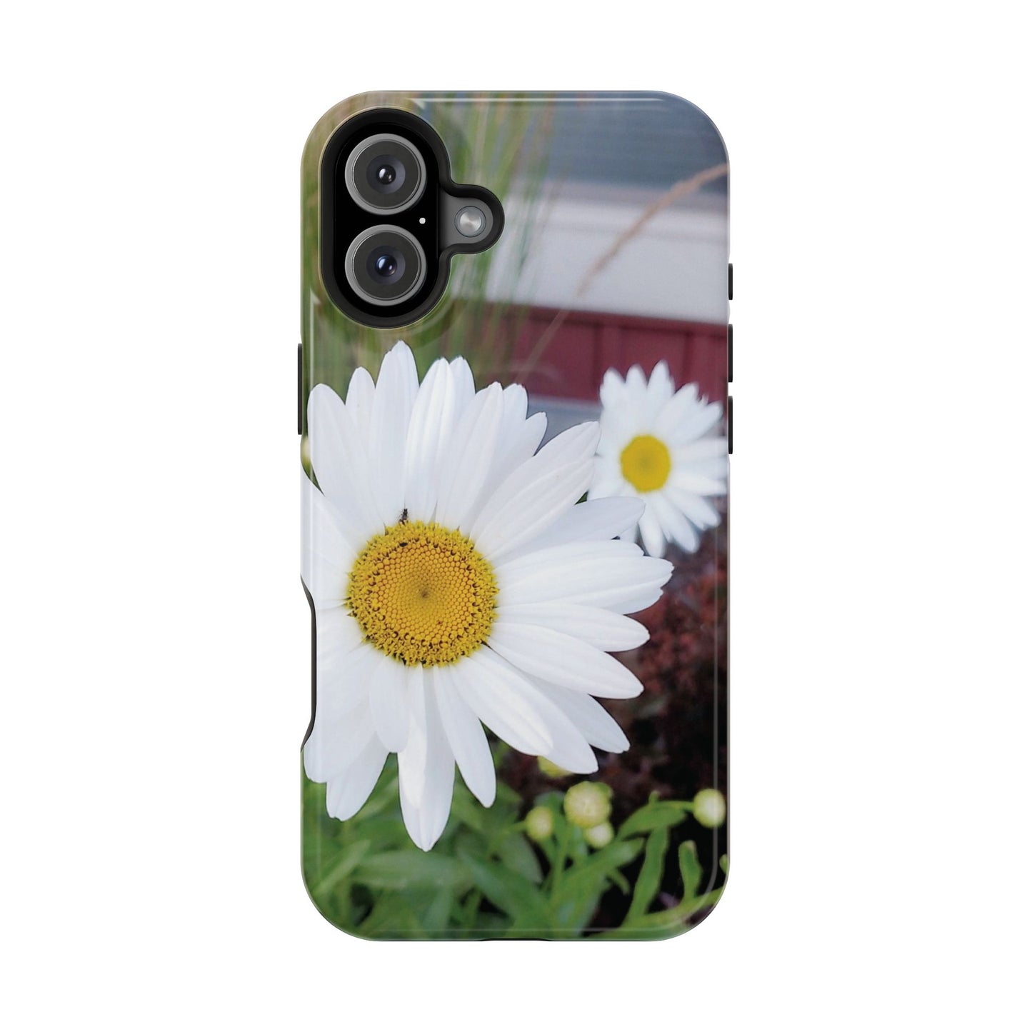 Magnetic Impact-Resistant Case- Daisy