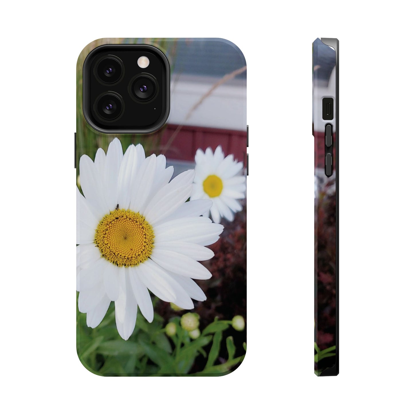 Magnetic Impact-Resistant Case- Daisy