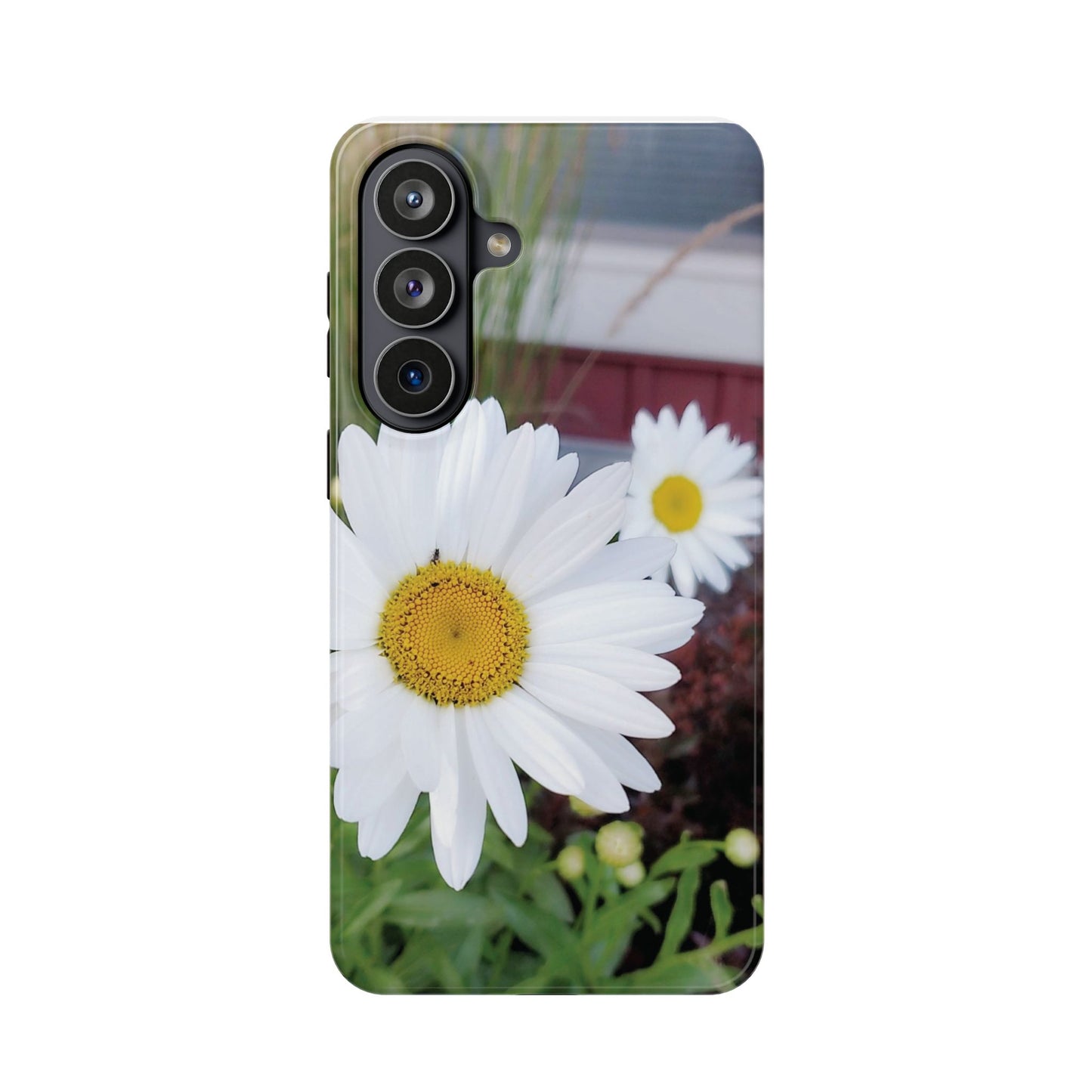 Magnetic Impact-Resistant Case- Daisy