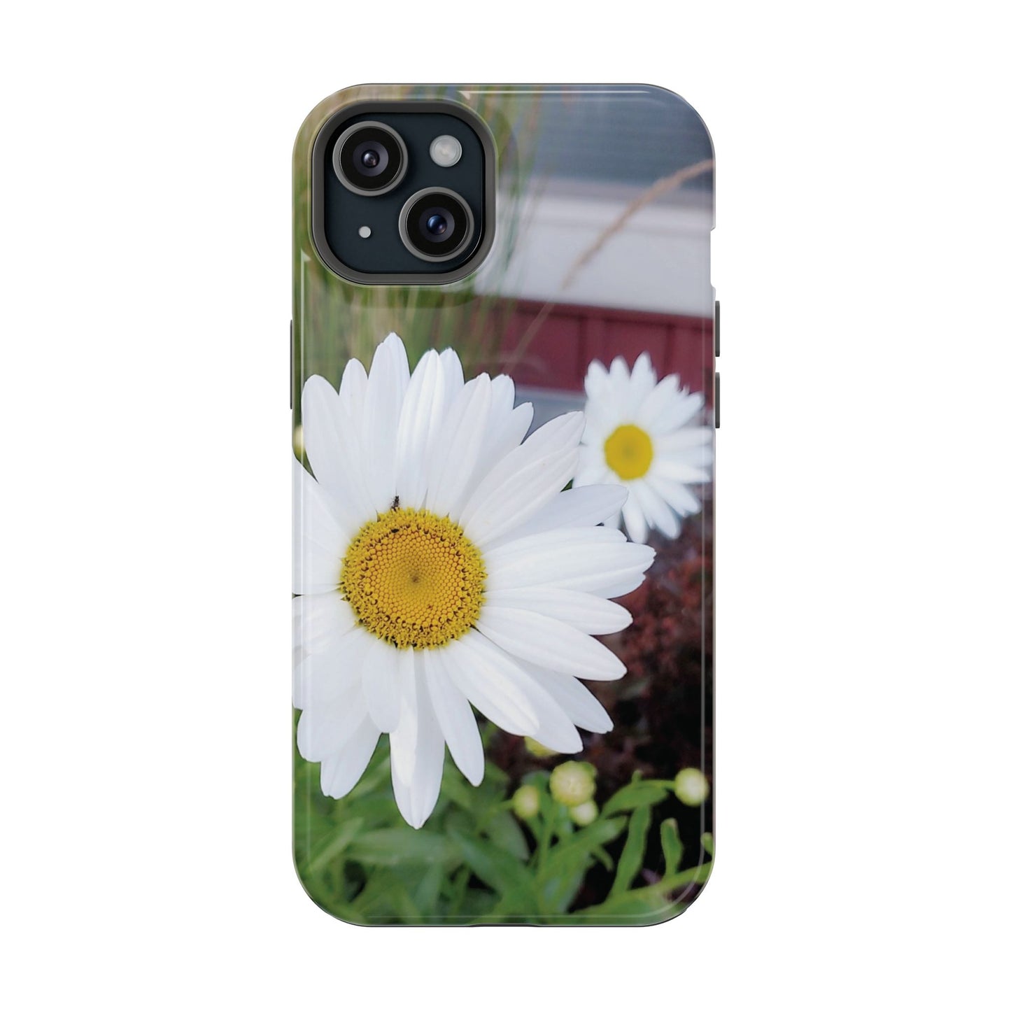 Magnetic Impact-Resistant Case- Daisy