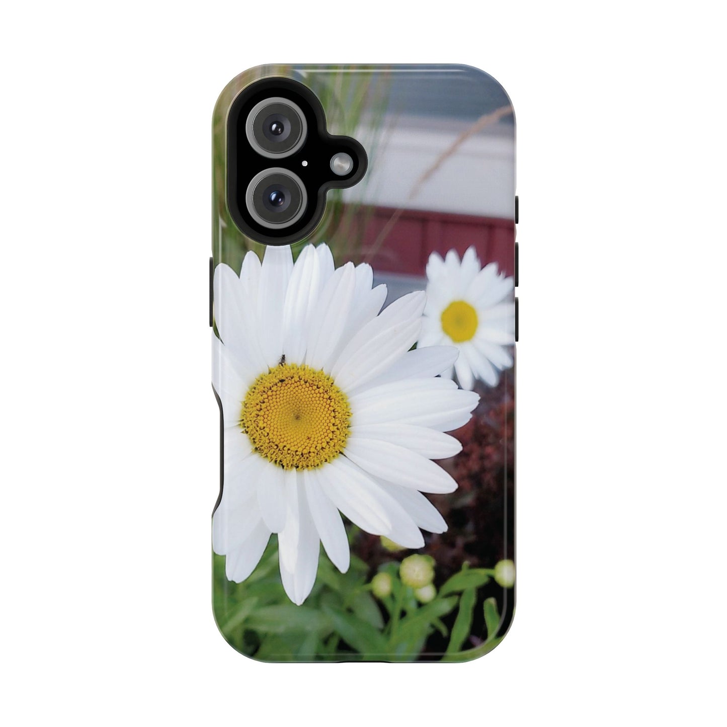 Magnetic Impact-Resistant Case- Daisy