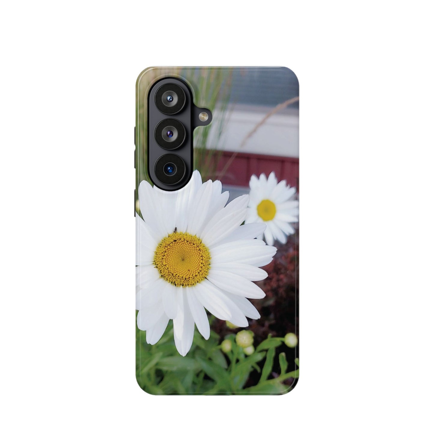 Magnetic Impact-Resistant Case- Daisy
