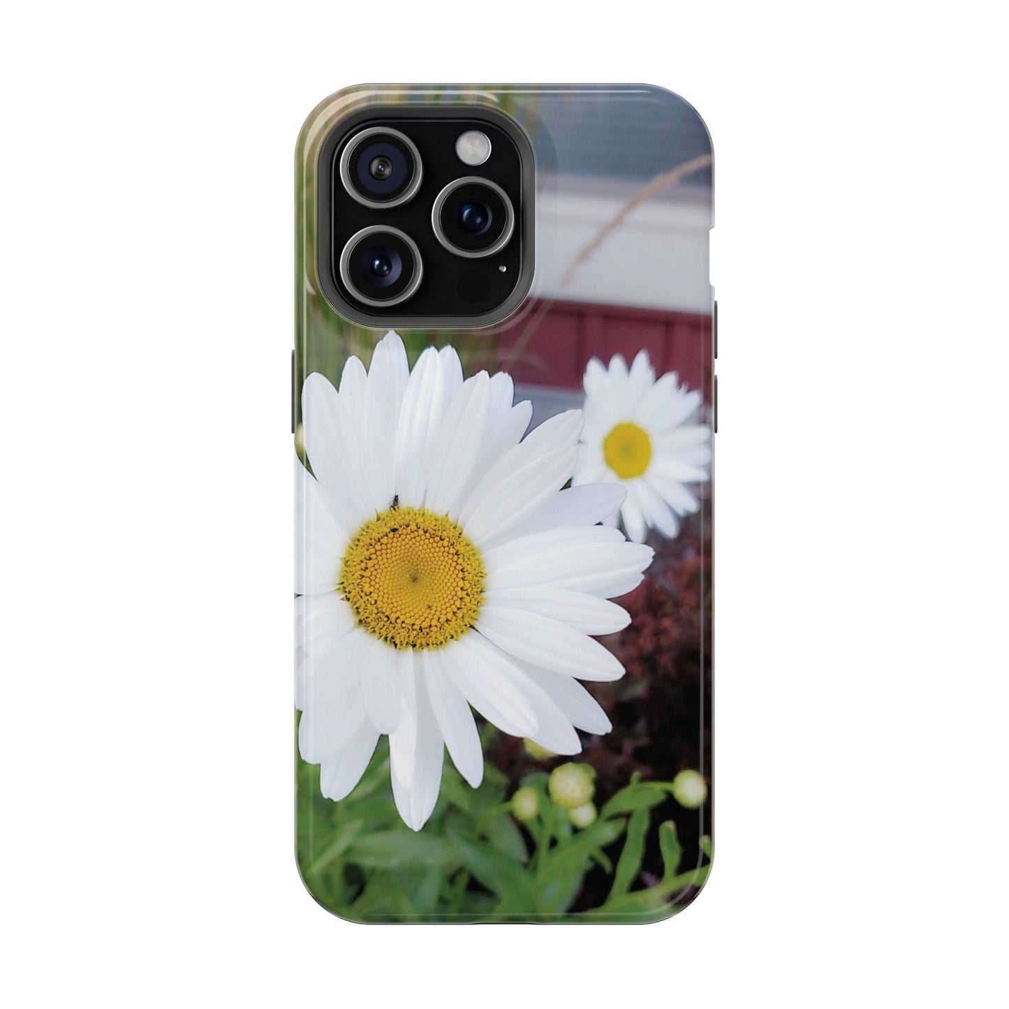Magnetic Impact-Resistant Case- Daisy