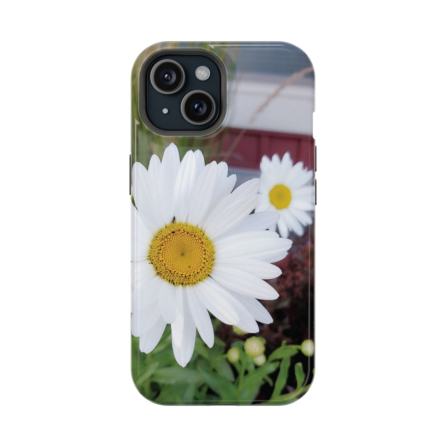 Magnetic Impact-Resistant Case- Daisy