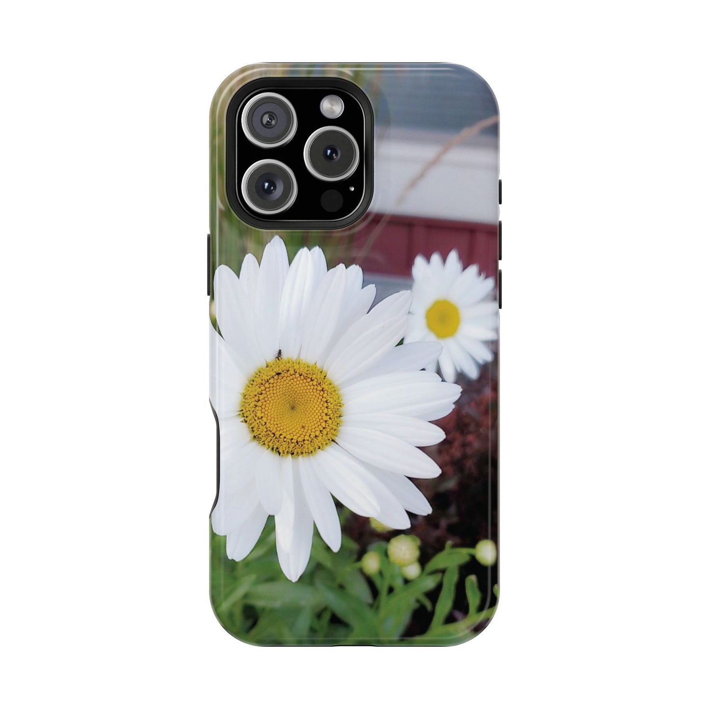 Magnetic Impact-Resistant Case- Daisy