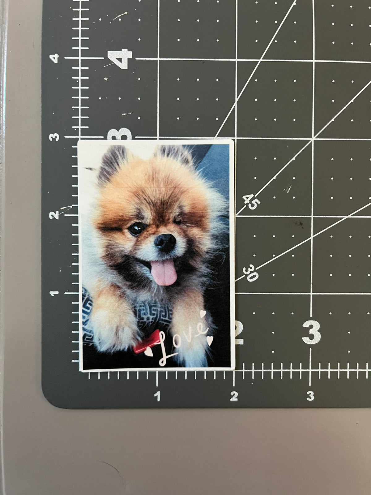 Custom Pet Stickers