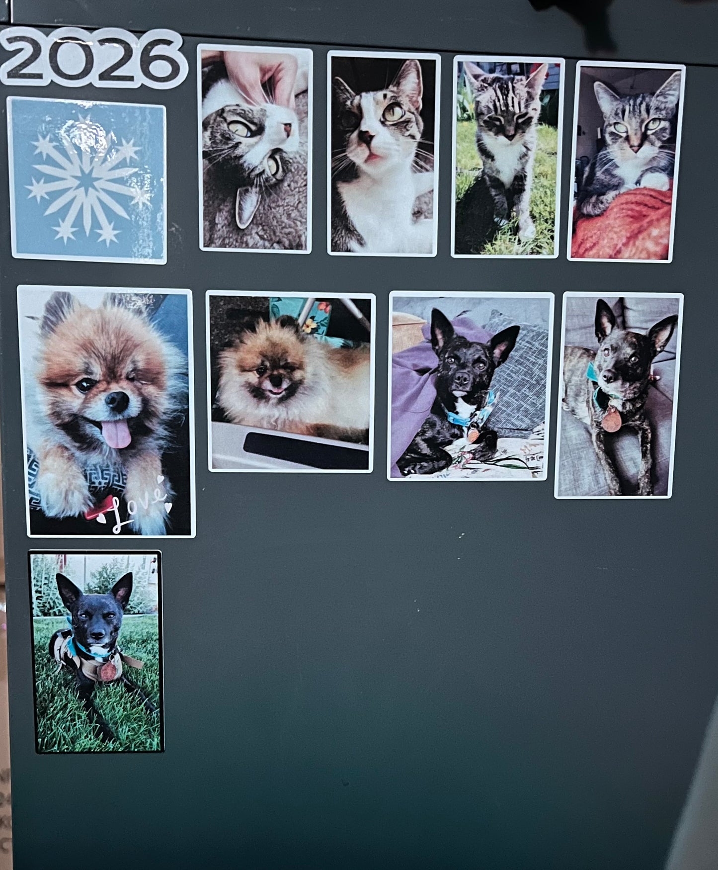 Custom Stickers