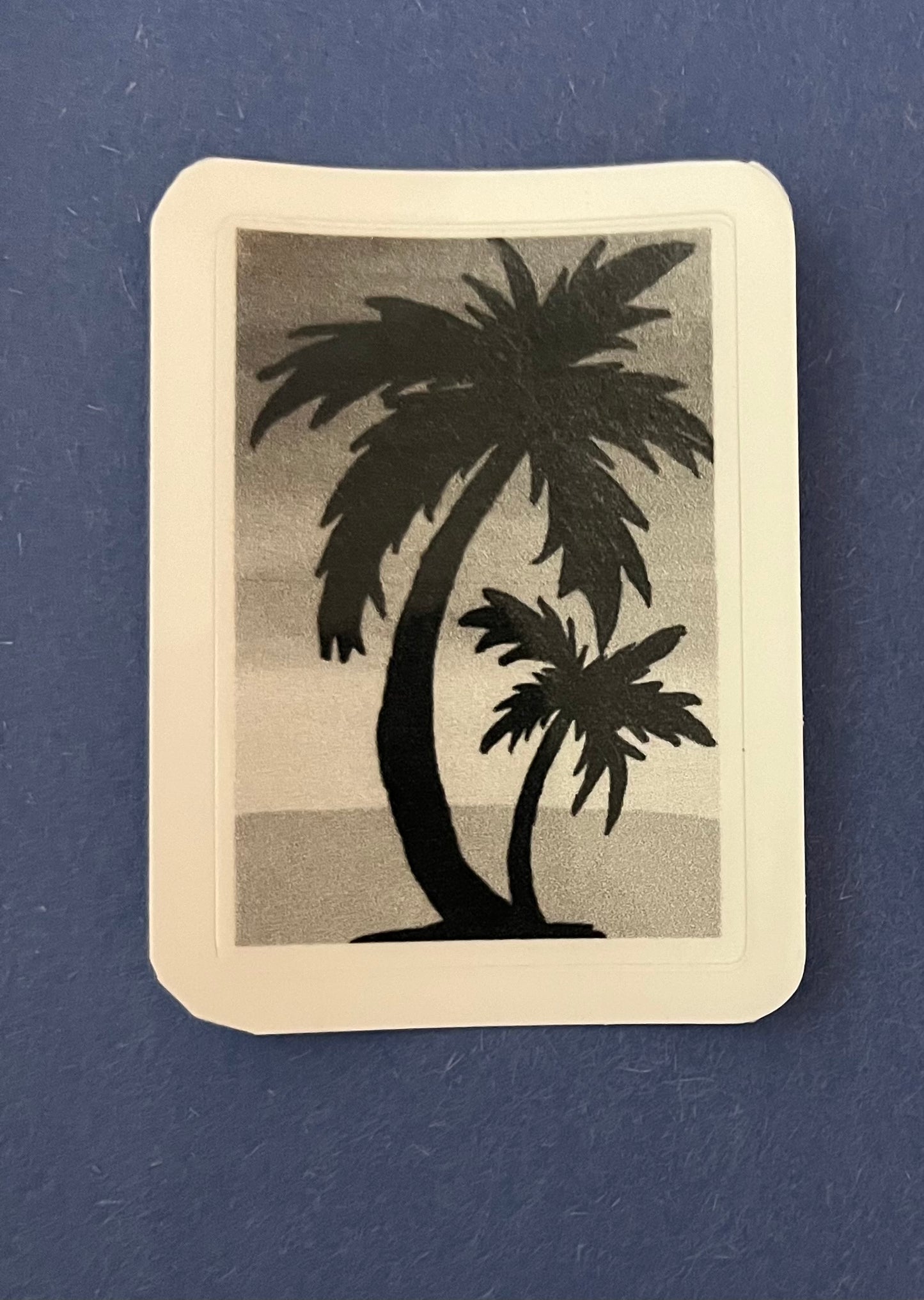Palm Tree Sunset