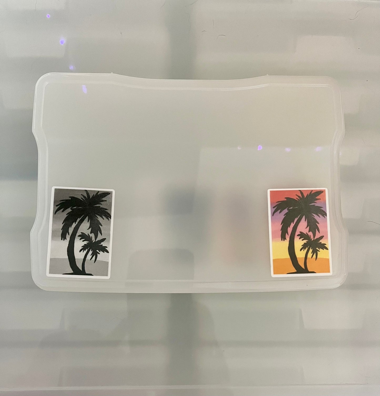 Palm Tree Sunset