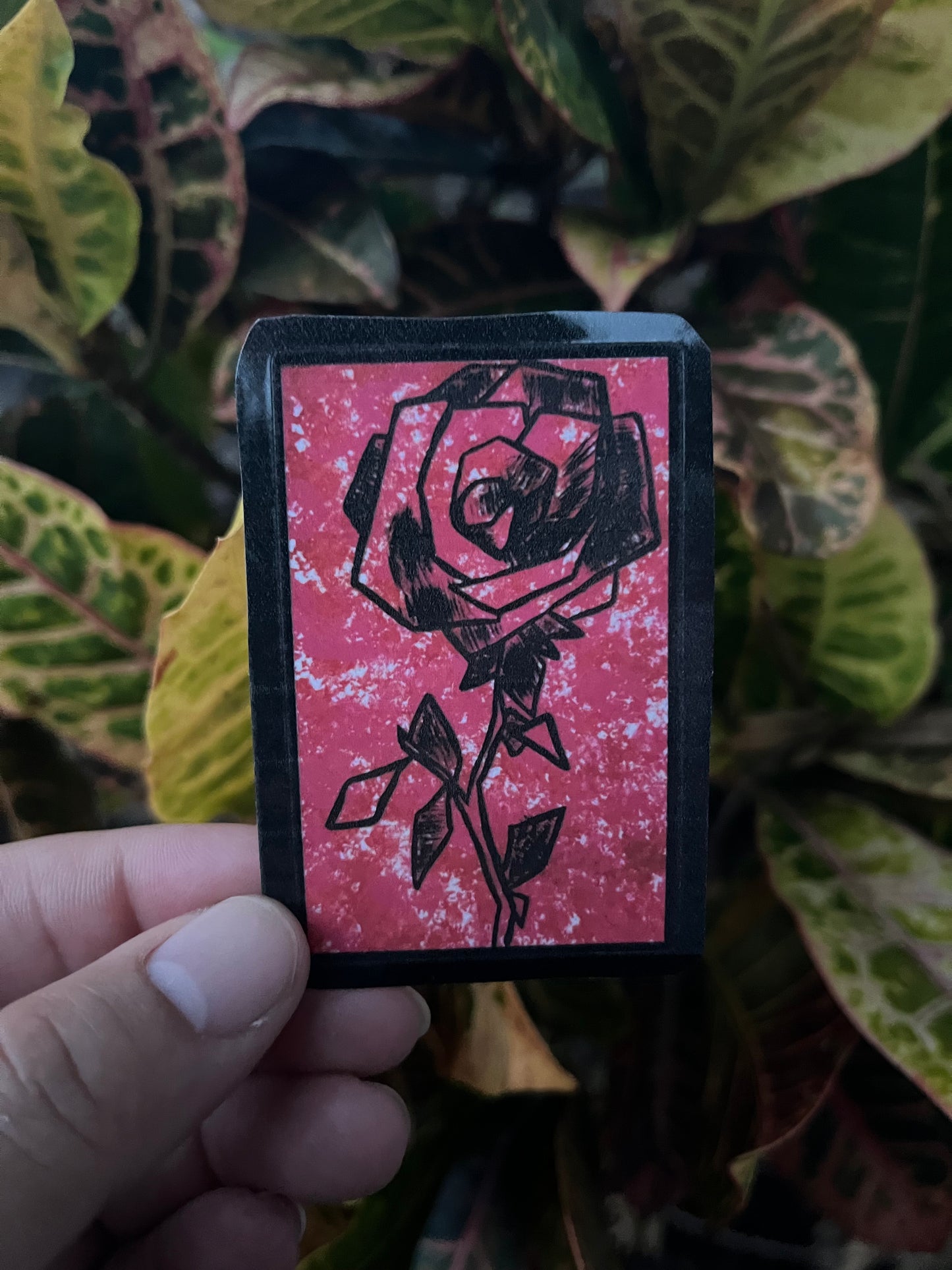 Rose